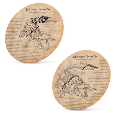 Two illustrated cork coasters featuring saltwater crocodile artwork